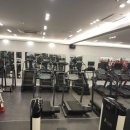 뉴 라이프 짐 이미지