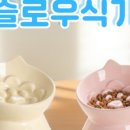 올웨이즈위드