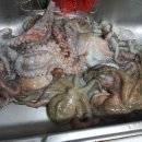 봉동옷전 이미지