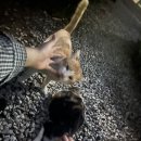 윤슬정