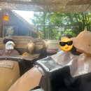 비룡농원 | 8월 여름 평일 에버랜드 초등학생과 함께한 방문후기(준비물 동물보기 위주 동선)