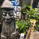 유니시티제주