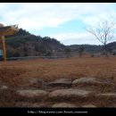 창원 덕천리 유적 이미지