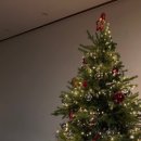 시골아줌마스테이 이미지