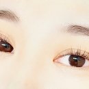 수연안전