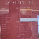 앨리스42 이미지