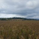 대마웰빙관 이미지