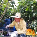 진서면사무소 이미지