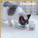 삼십팔점오 | { 고양이영양제 } 강아지 고양이 눈물 개선 눈 영양제 38.5 루테인 아스잔틴 한스푼, 기호성도 좋아요!