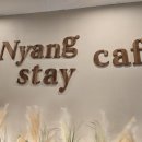 냥스테이 이미지