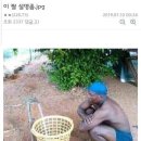 콩쥐팥쥐 이미지