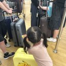 베트남바라기 | 5살 아이랑 다낭여행 1편 / 베트남항공 VN433, 다낭 르샌즈호텔 체크인
