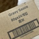 아이엠캣 이미지