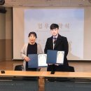 파인트리 이미지