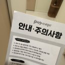 블로썸스킨라운지
