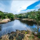 선흘리에 이미지