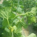 꿈의한방병원 이미지