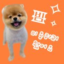모리몽 이미지