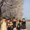 T-Master 연화태권도장 이미지