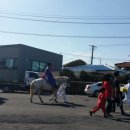 온평리-10 이미지