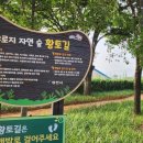 우로지 자연숲 황토길 이미지