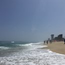 진부령미술관(외부) | 강릉 여행 🫧