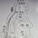 동의보감요약정리 ㅡ439편 이미지