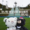올림픽투어 이미지