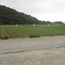 군외면-1 이미지