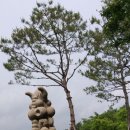 공존2000613 이미지