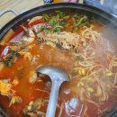 강우회센타