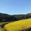 수박 이미지
