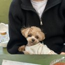 양평너른마당 뜨란채 이미지