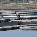 인천노동복지합동청사 정책브리핑