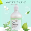 피누스스토어다온