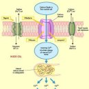 그랑데약국 이미지