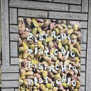 소서원 | 이태원역 🌟 분위기 좋은 애견동반 🐶 테라스 카페, 소서원 ☕