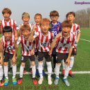 더베스트축구클럽 Daum카페