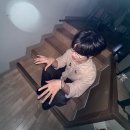 2026 소란 SORAN 고영배 퍼펙트데이12 PERFECTDAY12 첫공 1회차 후기 - 블로그 써 말 잘했다 (스포주의)
