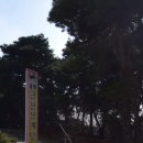 구미중앙로45길 이미지