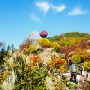 대구수목원 이미지