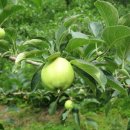 한누리농장 이미지