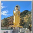 속리산 법주사 이미지