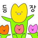 디마레풀빌라