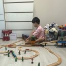 기장골든태권도 이미지