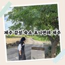 포니엔테 | 제주 서쪽 애월 감성 숙소 포니엔테 제주, 레트로 독채 자쿠지