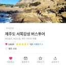 여자 혼자 제주 뚜벅이여행 | 제주1번가 제주서쪽감성 버스투어 내돈내산 후기 (여행코스/투어가격/할인...
