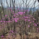 경기 수원시 광교산(光敎山.587m) 이미지