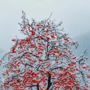 마석16리 이미지