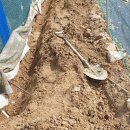 치마골농장 이미지